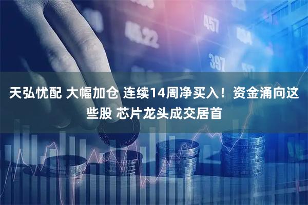 天弘忧配 大幅加仓 连续14周净买入！资金涌向这些股 芯片龙头成交居首