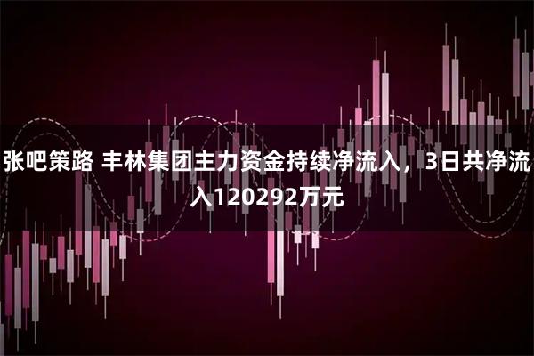 张吧策路 丰林集团主力资金持续净流入，3日共净流入120292万元