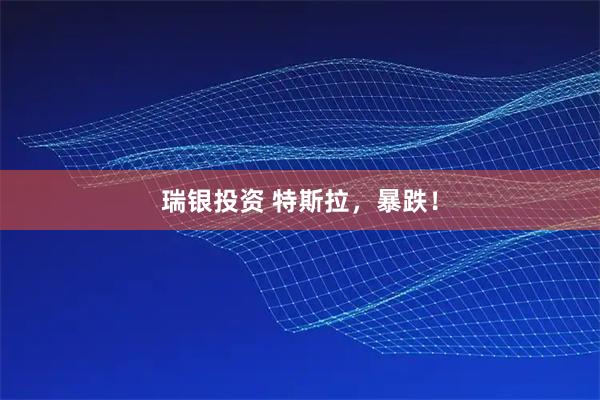 瑞银投资 特斯拉,暴跌!