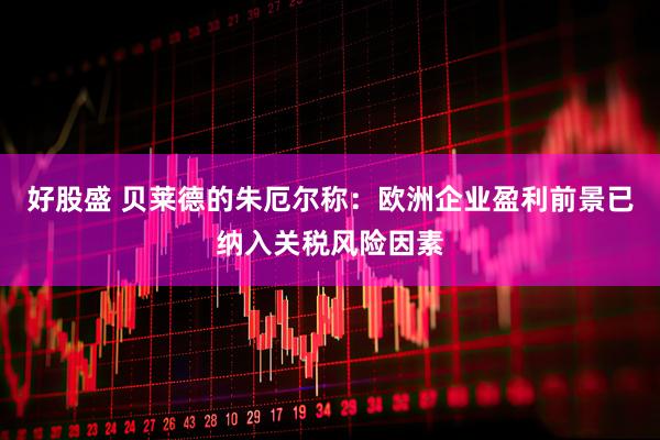 好股盛 贝莱德的朱厄尔称：欧洲企业盈利前景已纳入关税风险因素